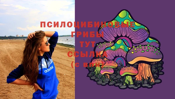 СК Елабуга