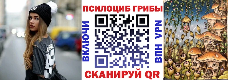 Купить закладки  Лебедянь  Псилоцибиновые грибы Magic Shrooms 